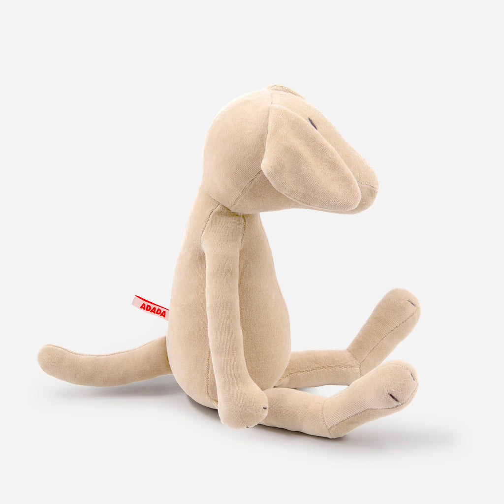 MAX THE LABRADOR