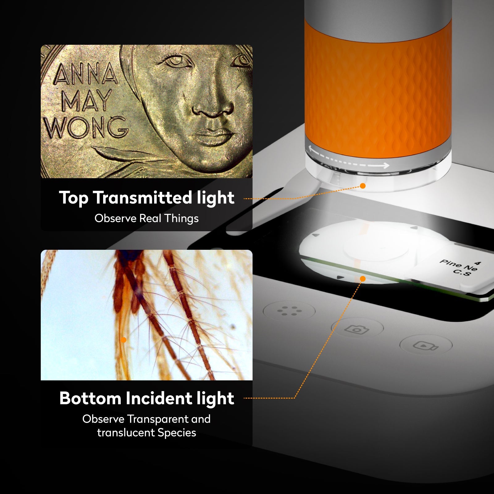 Matatastudio MX2-AS Digital Microscope for kids