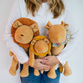 THE LION FAMILY - PACK OF 3